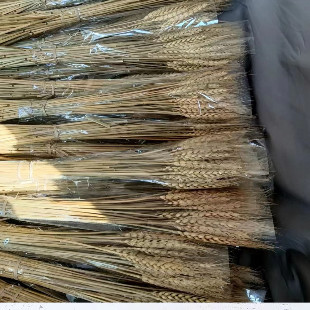 Dried Flower Bulk - 50個入り 人工花 ナチュラル ドライ小麦茎 DIYクラフト エレガント