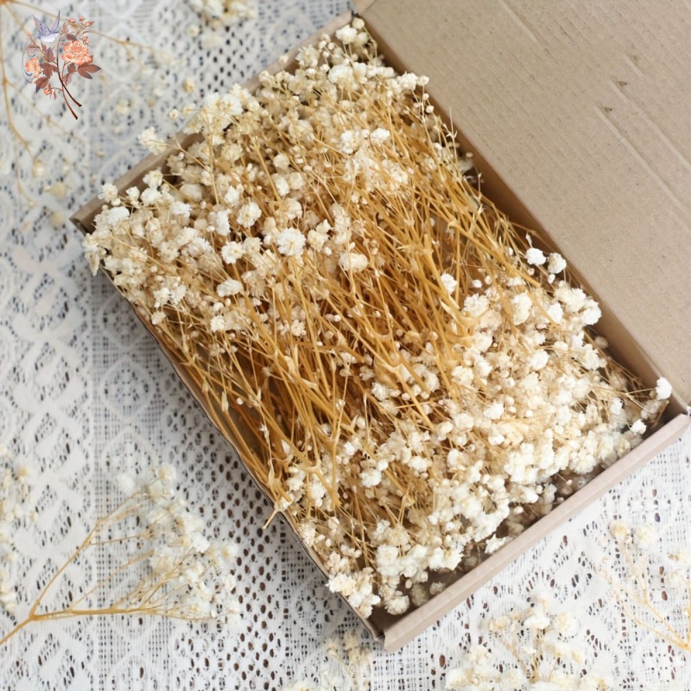 Dried Flower Bulk - 100個入りミニドライカスミソウ、レジン工芸DIY、家の装飾、結婚式の飾り、リアルタッチのジプソフィラ、小さな束、ギフト用装飾品