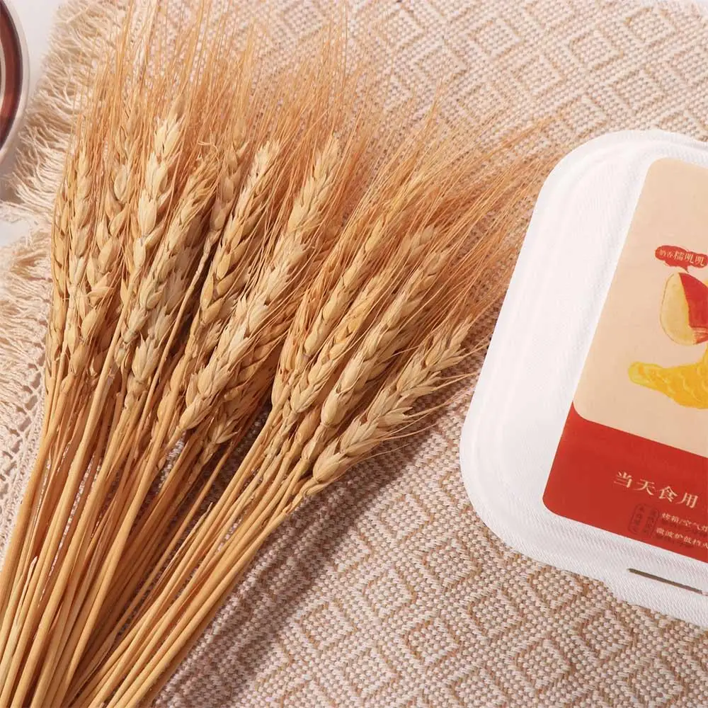 50個入り 人工花 ナチュラル ドライ小麦茎 DIYクラフト - Dried Flower Bulk のレビューと価格