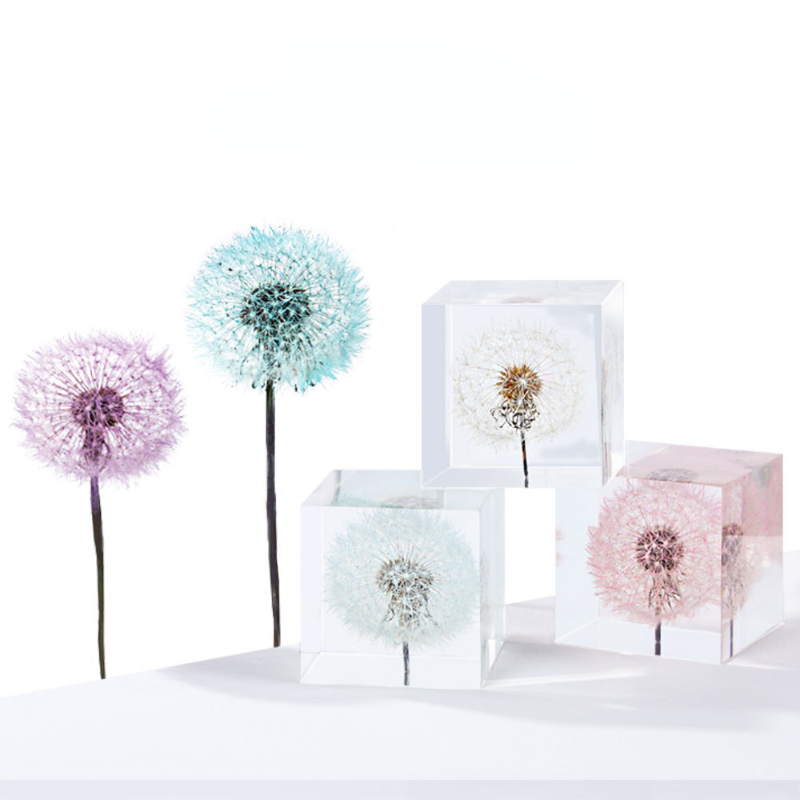 タンポポの花と乾燥した花の装飾的な樹脂ドロップ接着剤花素材の - Flower Preservation Resin のレビューと価格