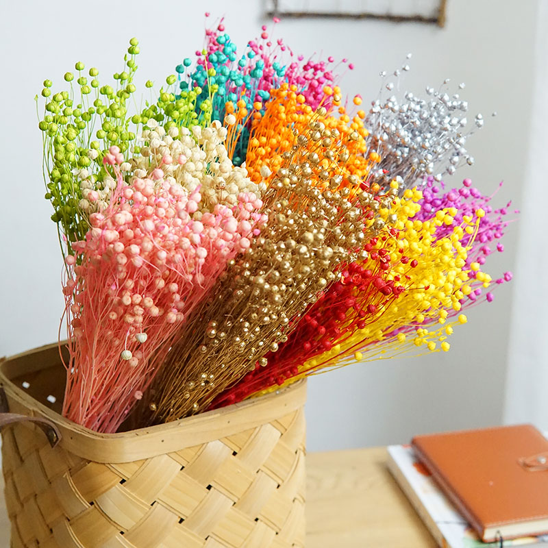 35g/保存されたオルモシア・ホシエ天然本物の花カラフルな乾 - Dried Flower Bulk のレビューと価格