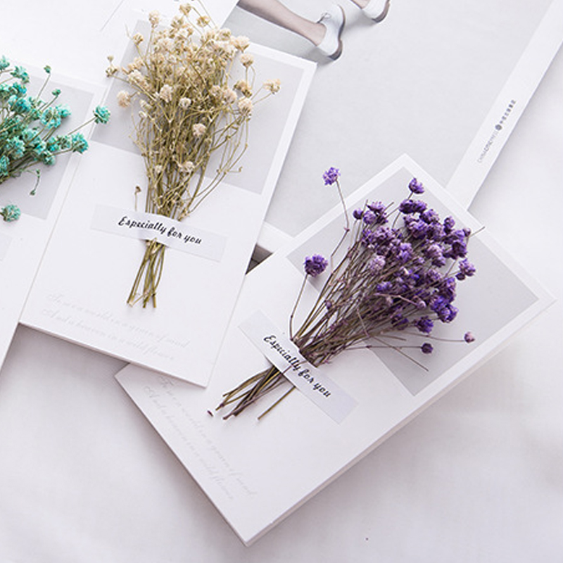 10 個ギフトカード結婚式招待状グリーティングカードカスミソ - Dried Flower Bulk のレビューと価格