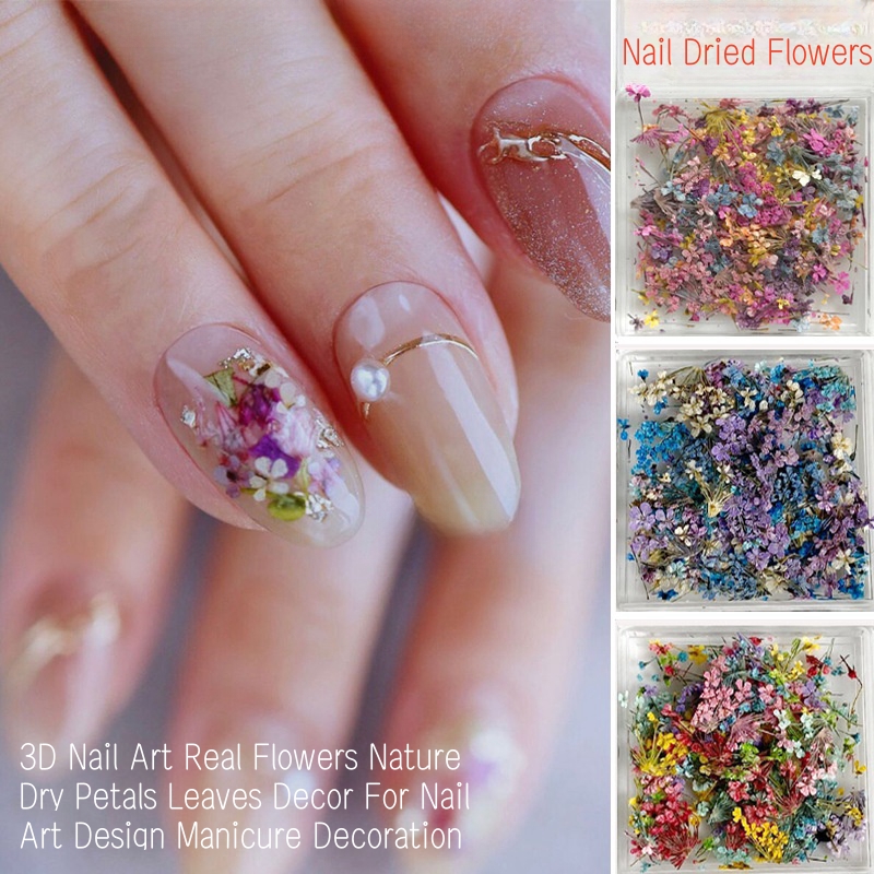 混合小さなドライフラワーネイルアートドライフラワー各種ネイル - Dried Flower Bulk のレビューと価格