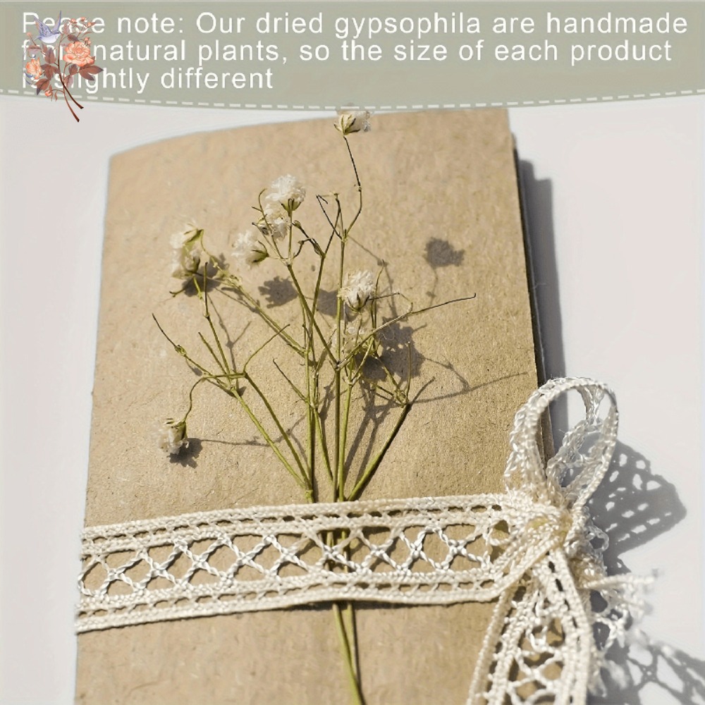 100個入りミニドライカスミソウ、レジン工芸DIY、家の装飾 - Dried Flower Bulk のレビューと価格